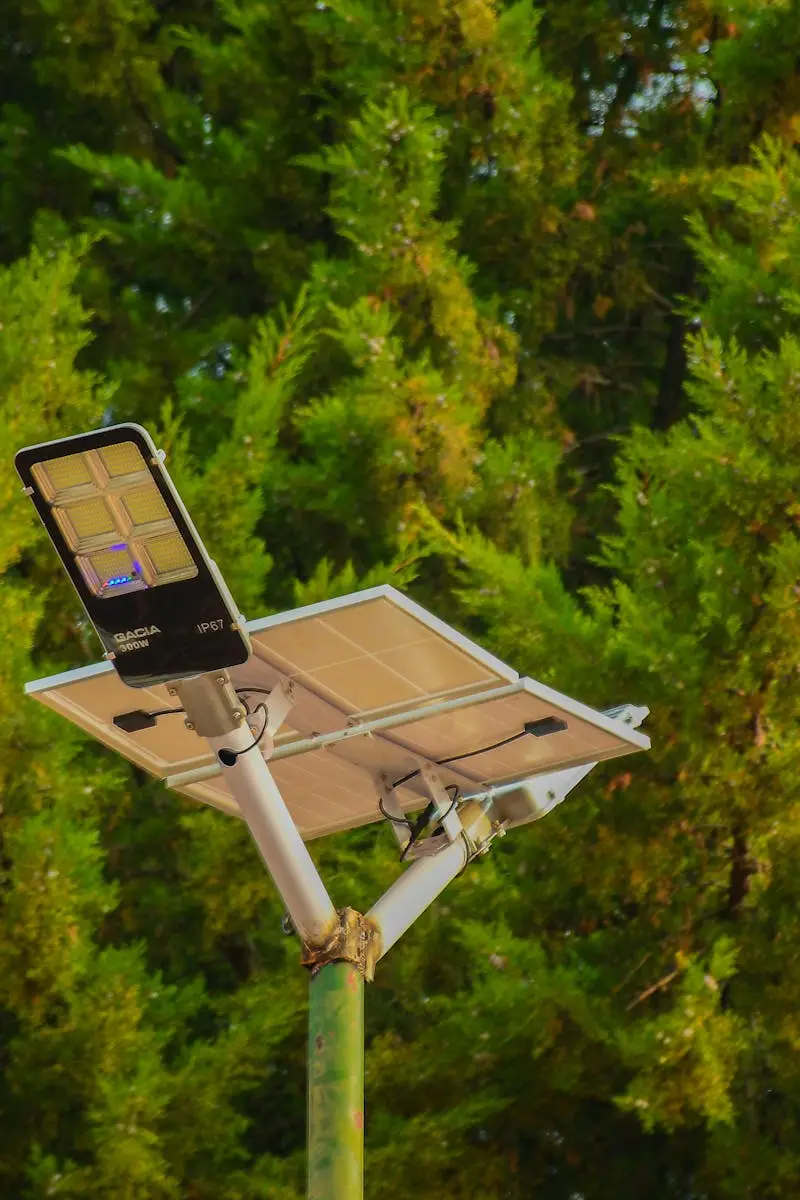 A solar-powered street light set against vibrant green conifer trees, symbolizing sustainable energy.
